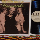 FLEETWOODS - The Very Best Of - LP 1975 pop rock'n'roll EX - pikkukuva 1
