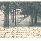 TERIJOKI - Carte Postale, kulk. 1903 - pikkukuva 1