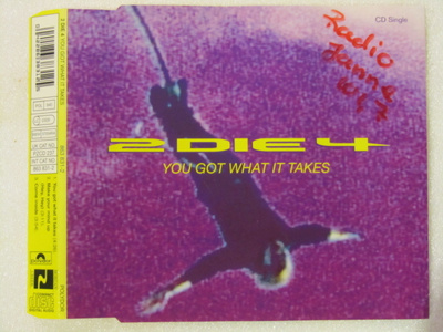 2 Die 4 • You Got What It Takes CD-Single