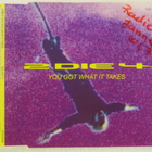 2 Die 4 • You Got What It Takes CD-Single - pikkukuva 1