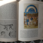 Gomgrich: Konstens historia - pikkukuva 2