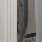 The Purloined Poe - Lacan, Derrida & Psychoanalytic Reading - pikkukuva 2