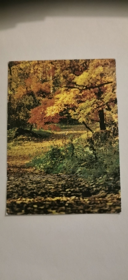 Arboretum Mustila, ELIMÄKI, kulkenut postikortti