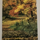 Arboretum Mustila, ELIMÄKI, kulkenut postikortti - pikkukuva 1