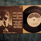 Teddy Guitar & Buck Jones sinkku - pikkukuva 2