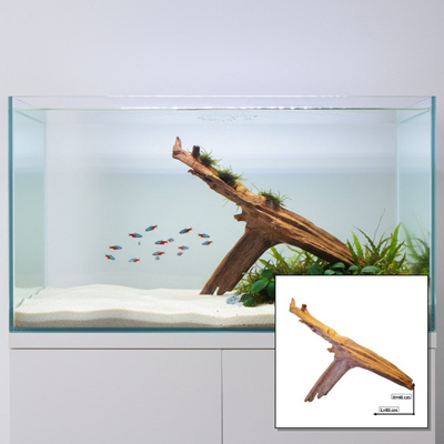 Uniikki akvaariojuurakko 68 cm | P222618