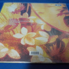 ERJA LYYTINEN / DAVIDE FLORENO - IT'S A BLESSING M-/M- LP - pikkukuva 2