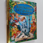 Kultainen satuaarre - Prinsessa Ruusunen - Ruma ankanpoik... - pikkukuva 1