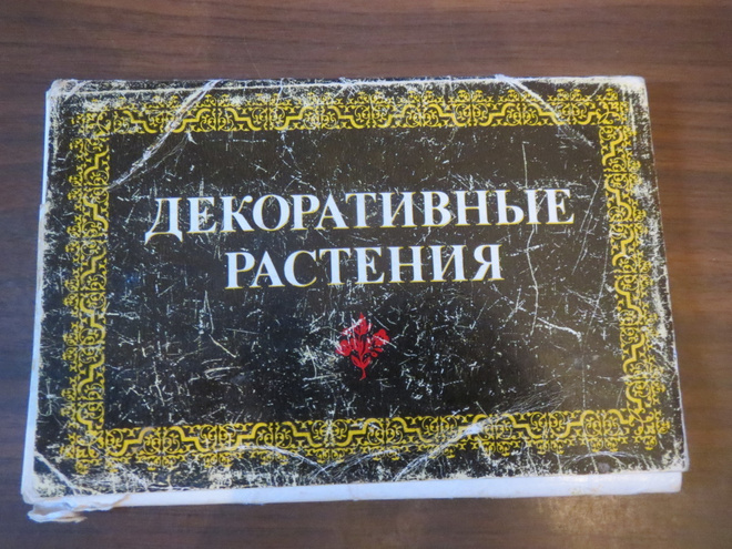 CCCP kukintoja korttisarja (täysi sarja)
