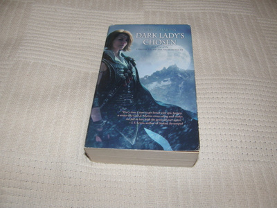 Gail Z. Martin Dark Lady´s Chosen