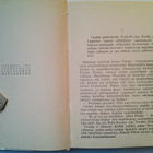 Outsider: Saparomäen saunasta Battikalaon palatsiin, v. 1955 - pikkukuva 3