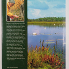 Veikko M. ym. (toim.) Neuvonen : Finland : land of natura... - pikkukuva 2