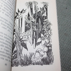 Tove Jansson - Il Cappello Del Gran Bau - pikkukuva 2