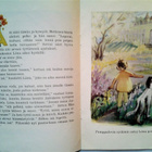 Järvinen Laura: Pikku Liina, v. 1953 - pikkukuva 3