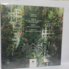 WARNING - THE STRENGTH TO DREAM M/M SUOMI 2021 2LP - pikkukuva 2