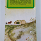 Laura Ingalls Wilder : Luumujen poukama - pikkukuva 2