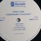 Steely Dan : Countdown To Ecstacy. - pikkukuva 3