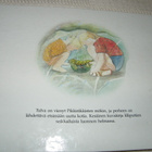 Airikkala - Kurenniemi Pikkiriikkiset - pikkukuva 4