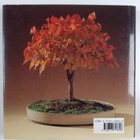 Paul Lesniewicz : Bonsai : the complete guide to art & te... - pikkukuva 2