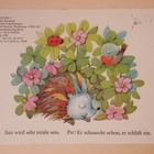 DDR Igel Itzo - pikkukuva 2