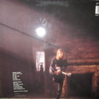 Henry Lee Summer - I've Got Everything LP - pikkukuva 2