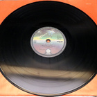 Thin Lizzy - Renegade 1981 LP - pikkukuva 5
