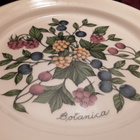 2 x Arabia Botanica . Lautanen Ø 20.5 cm . Uudenveroinen - pikkukuva 4