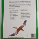 Martyn Bramwell : Birds - The Aerial Hunters - pikkukuva 2
