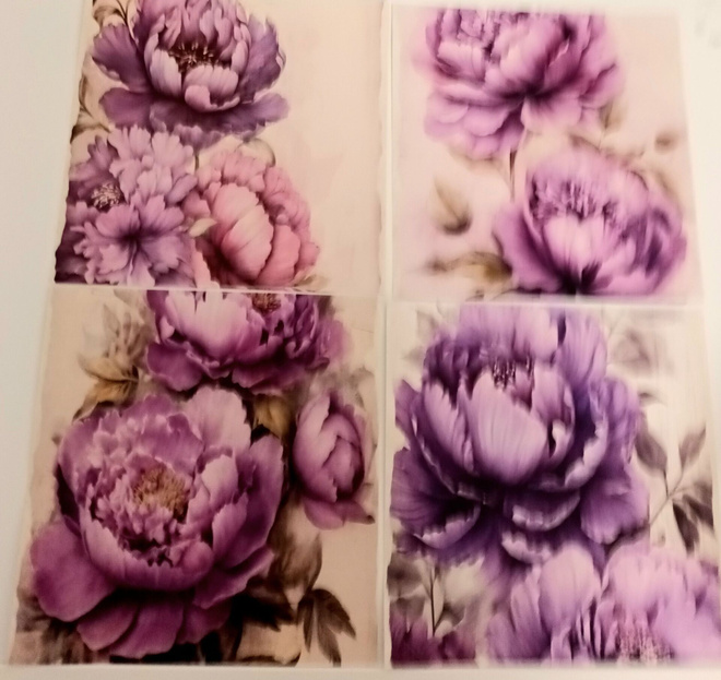 Kuviopaperi PIONIT / 4 kpl -setti / 14 x 14 cm