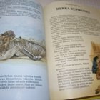 Kokoelma eläintarinoita - pikkukuva 4