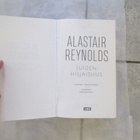 ALASTAIR REYNOLDS - luiden hiljaisuus - pikkukuva 3