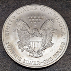 1 oz 999 Hopea raha American Silver Eagle 2005 one dollar - pikkukuva 2