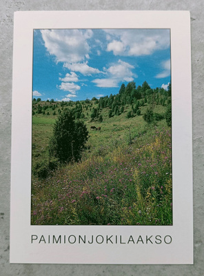 Paimio, Paimionjokilaakso