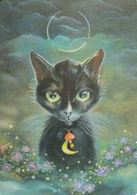 Eeva Nikunen: Taikuri-kissa