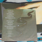 BRYAN FERRY ~ The Bride Stripped Bare ~ LP - pikkukuva 3