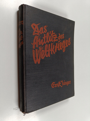 Das Antlitz des Weltkrieges : Fronterlebnisse deutscher S...