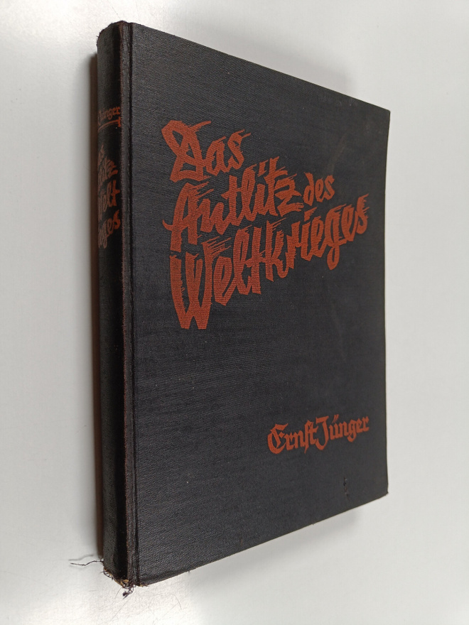 Das Antlitz des Weltkrieges : Fronterlebnisse deutscher S...