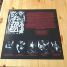 Martyrvore - Malevolent Desolation lp 2014 Death Metal - pikkukuva 3