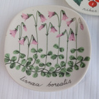 Kerkkä 32/6/26 "Botanica" -sarjan koristelautanen 3 kpl - pikkukuva 2