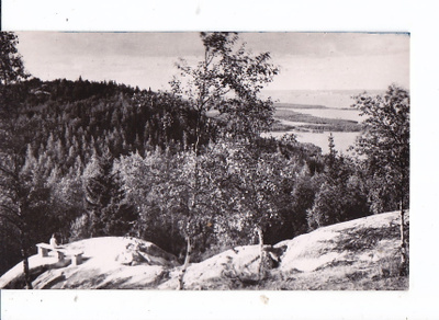 VANHA Postikortti Koli 1950-l Yläkoli Rivileima