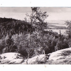 VANHA Postikortti Koli 1950-l Yläkoli Rivileima - pikkukuva 1
