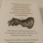 Conn Iggulden: Ruusujen sota - Myrskylintu - pikkukuva 2
