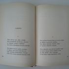  Koskenniemi Kootut runot 1924 - pikkukuva 4