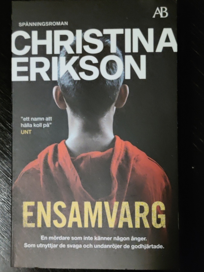 Christina Erikson : Ensamvarg