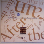 TITIYO :: AFTER THE RAIN :: VINYYLI 7" 1989 - pikkukuva 2