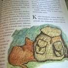 E. Koipijärvi: Huuhkajavuoren tarinoita - pikkukuva 3