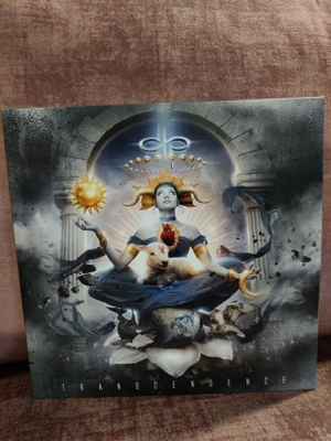 Devin Townsend Transcendence