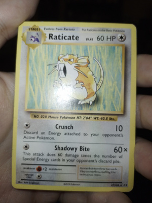 Raticate 67/108 XY Evolutions RARE card