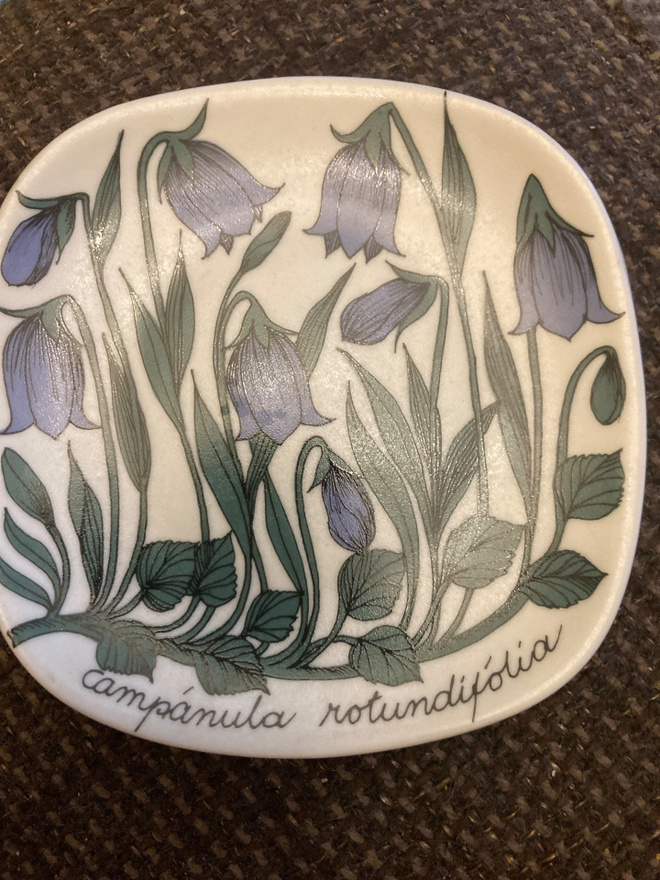 ESTERI TOMULA: KISSANKELLOT
