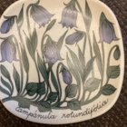 ESTERI TOMULA: KISSANKELLOT - pikkukuva 1